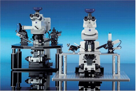 Axio Examiner 系列固定载物台式显微镜—电生理的实验平台