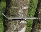 DD-L树干直径生长变化记录仪